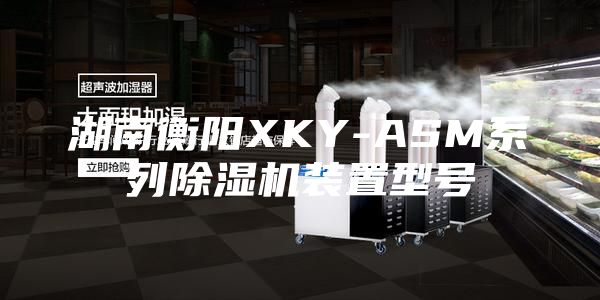 湖南衡阳XKY-ASM系列除湿机装置型号