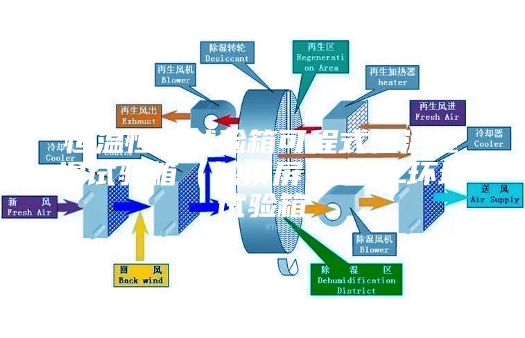 恒温恒湿试验箱可程式恒温恒湿试验箱（触摸屏）80L环境试验箱