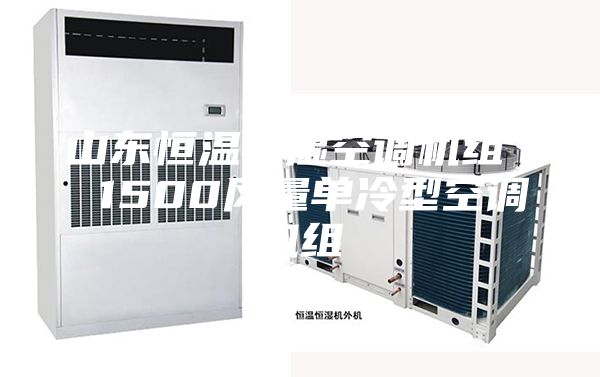 山东恒温恒湿空调机组  1500风量单冷型空调机组