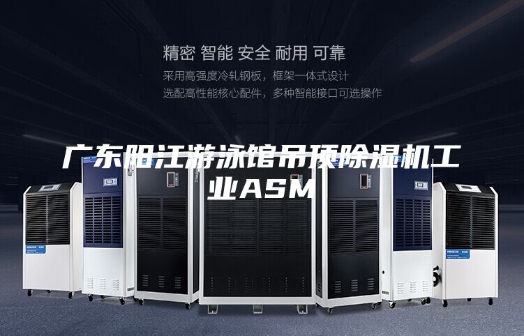 广东阳江游泳馆吊顶除湿机工业ASM