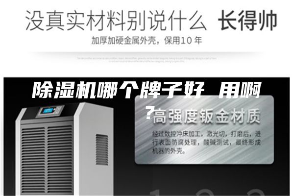 除湿机哪个牌子好 用啊？