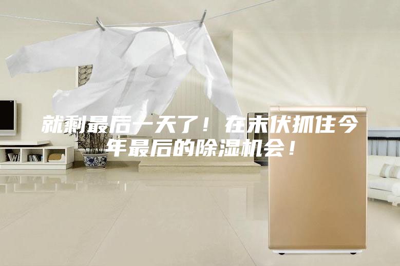 就剩最后一天了！在末伏抓住今年最后的除湿机会！