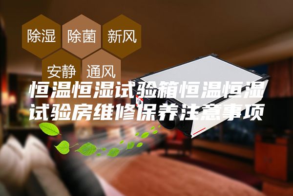 恒温恒湿试验箱恒温恒湿试验房维修保养注意事项