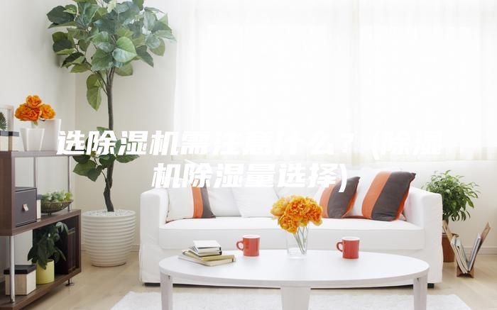 选除湿机需注意什么？(除湿机除湿量选择)