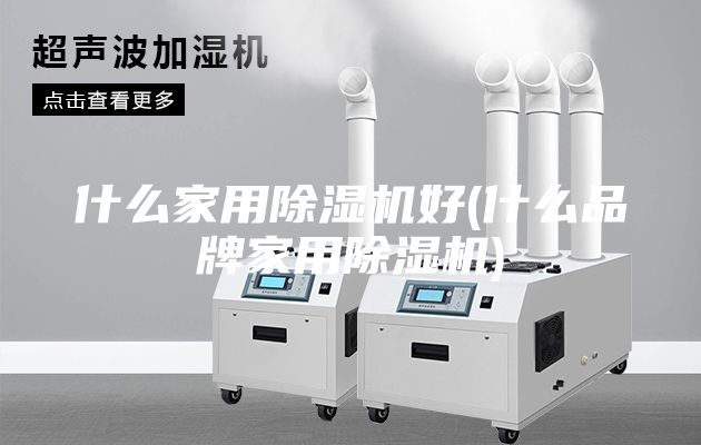 什么家用除湿机好(什么品牌家用除湿机)