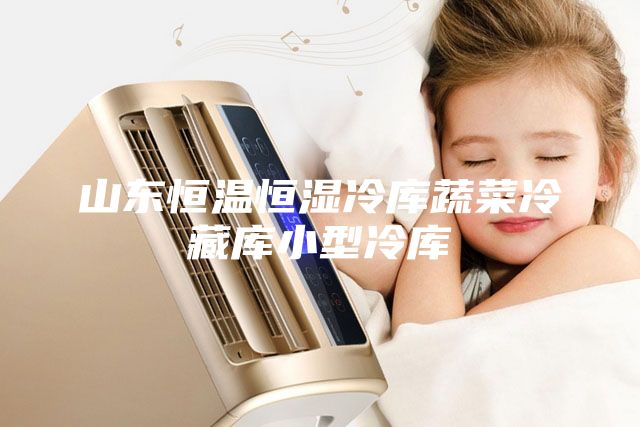 山东恒温恒湿冷库蔬菜冷藏库小型冷库