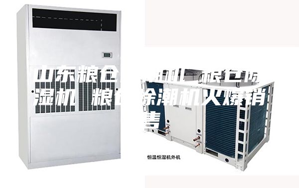 山东粮仓除潮机 粮仓除湿机 粮仓除潮机火爆销售