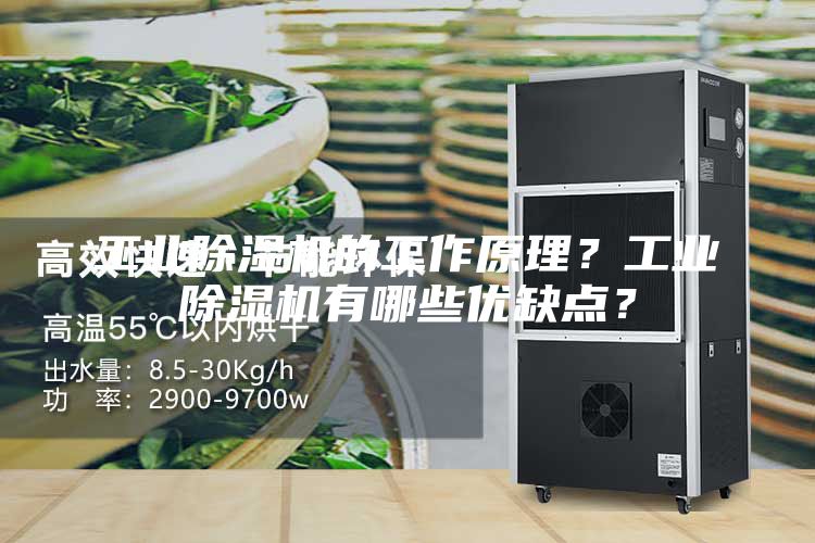 工业除湿机的工作原理？工业除湿机有哪些优缺点？