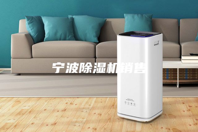 宁波除湿机销售