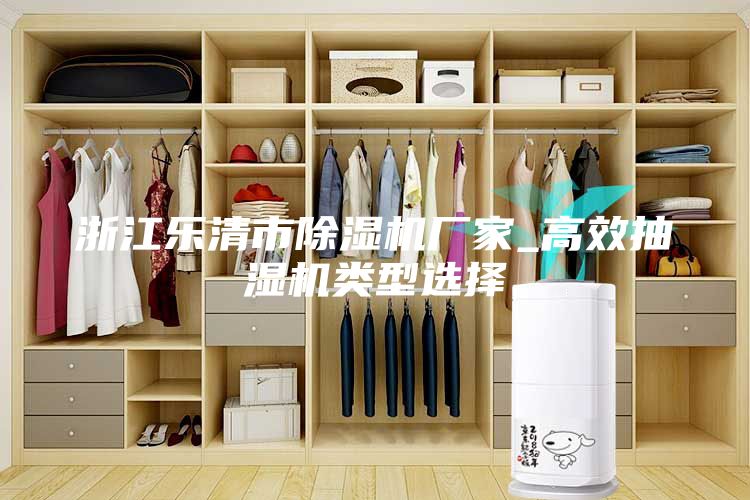浙江乐清市除湿机厂家_高效抽湿机类型选择