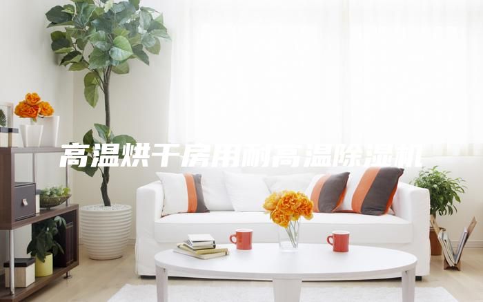 高温烘干房用耐高温除湿机