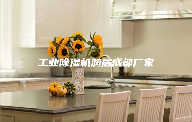 工业除湿机润居成都厂家