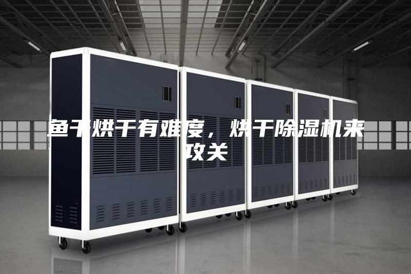 鱼干烘干有难度，烘干除湿机来攻关