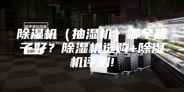 除湿机（抽湿机）哪个牌子好？除湿机选购+除湿机评测!