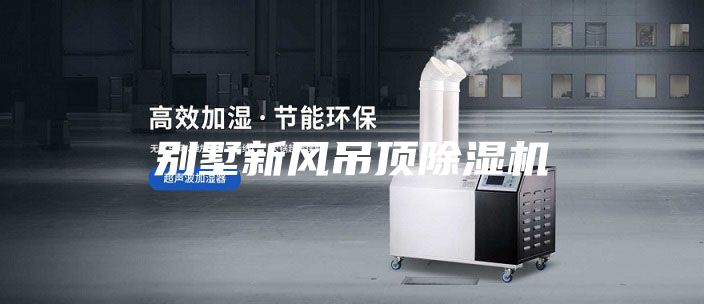 别墅新风吊顶除湿机
