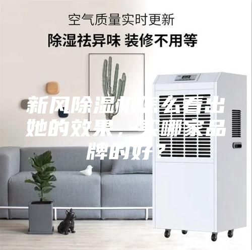 新风除湿机怎么看出她的效果，买哪家品牌的好？