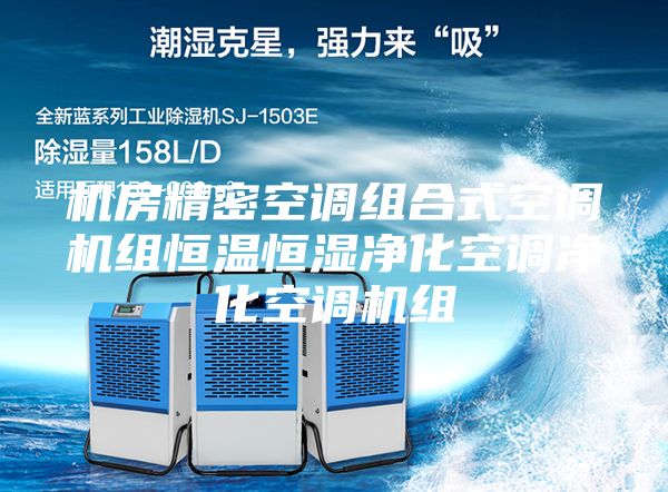 机房精密空调组合式空调机组恒温恒湿净化空调净化空调机组