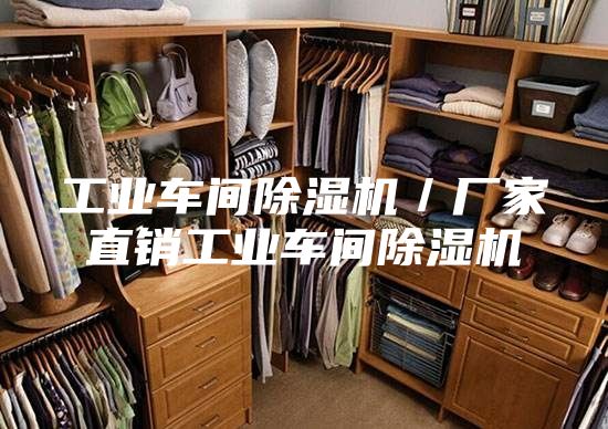 工业车间除湿机／厂家直销工业车间除湿机