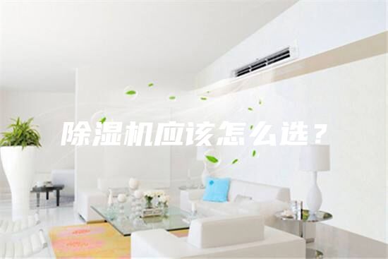 除湿机应该怎么选？