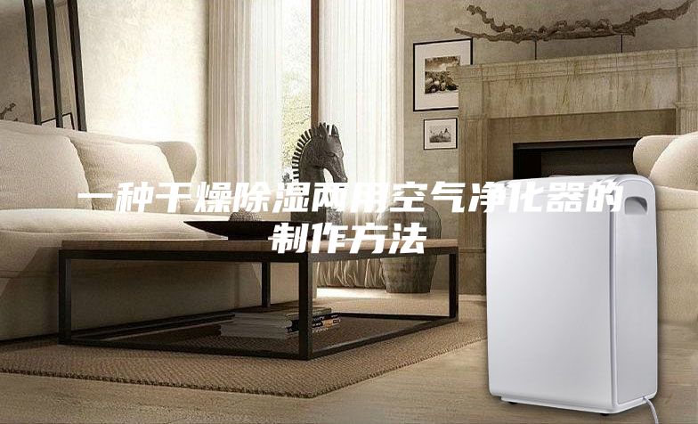 一种干燥除湿两用空气净化器的制作方法