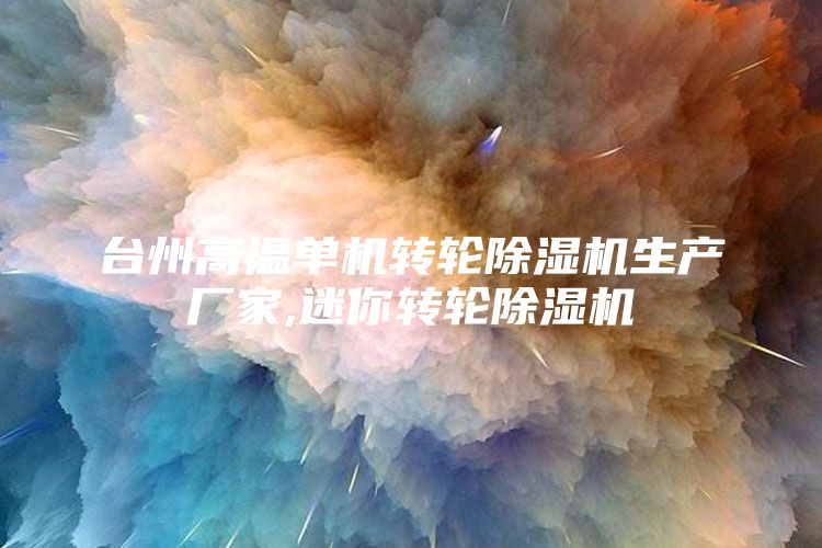 台州高温单机转轮除湿机生产厂家,迷你转轮除湿机