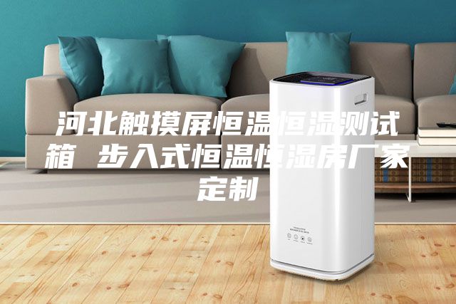 河北触摸屏恒温恒湿测试箱 步入式恒温恒湿房厂家定制
