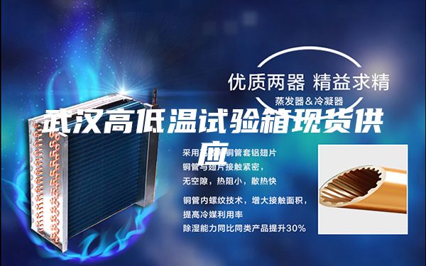 武汉高低温试验箱现货供应