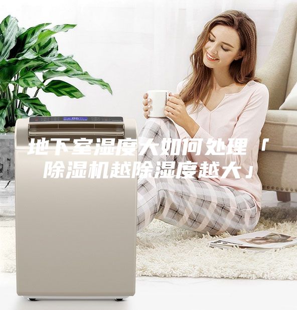 地下室湿度大如何处理「除湿机越除湿度越大」