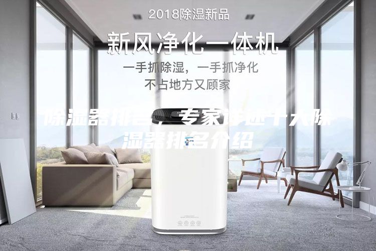 除湿器排名，专家详述十大除湿器排名介绍