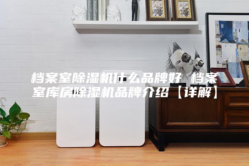 档案室除湿机什么品牌好 档案室库房除湿机品牌介绍【详解】