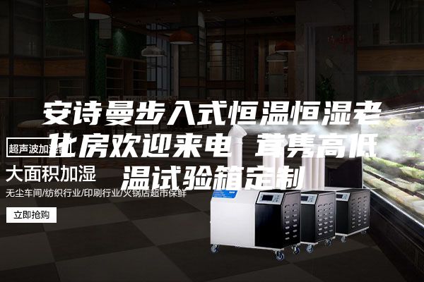 安诗曼步入式恒温恒湿老化房欢迎来电 茸隽高低温试验箱定制