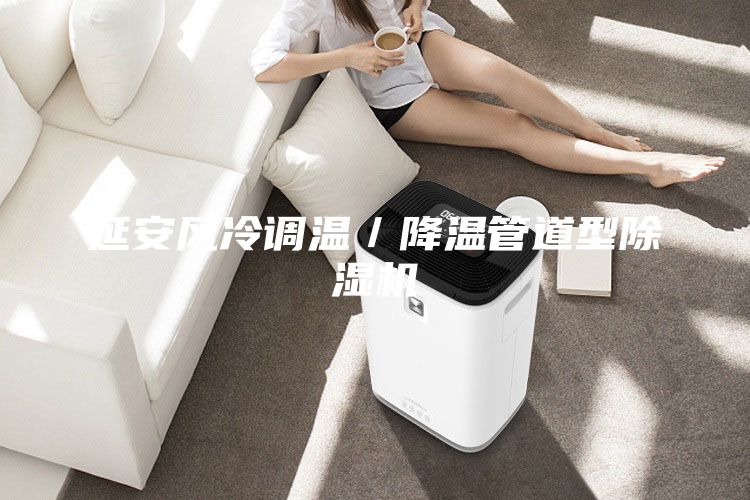 延安风冷调温／降温管道型除湿机
