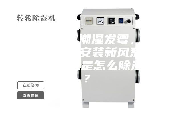 别墅地下室潮湿发霉，为什么一定要安装新风系统？新风系统是怎么除湿的？