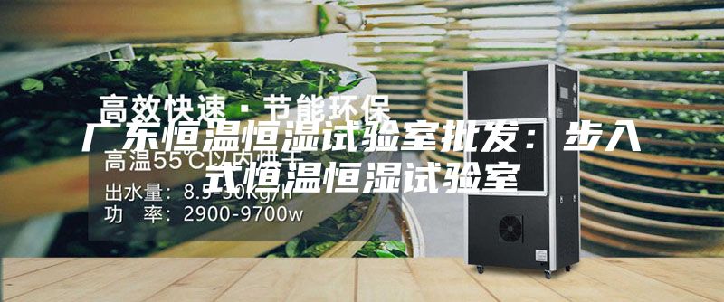 广东恒温恒湿试验室批发：步入式恒温恒湿试验室