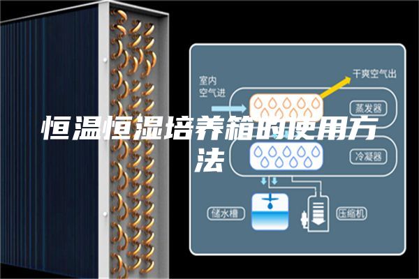 恒温恒湿培养箱的使用方法