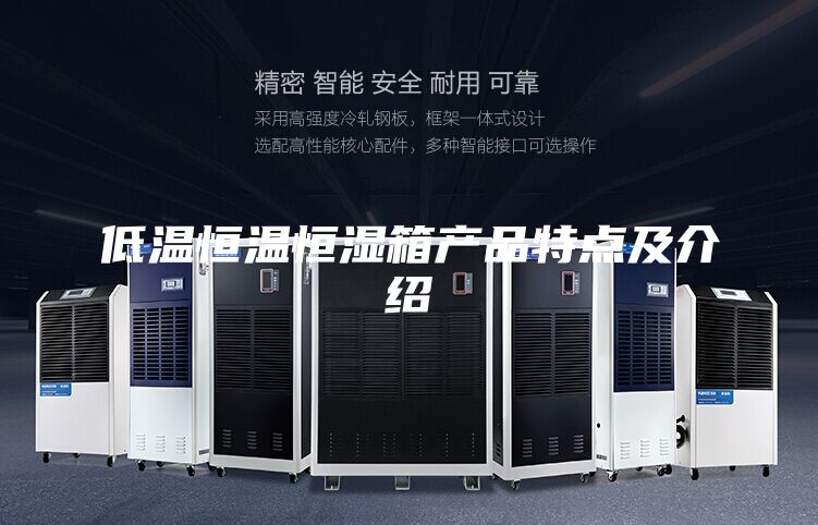 低温恒温恒湿箱产品特点及介绍