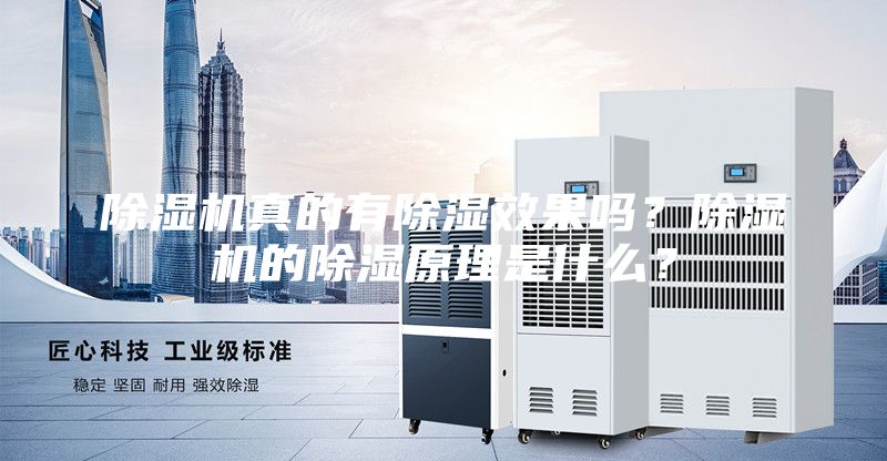 除湿机真的有除湿效果吗？除湿机的除湿原理是什么？