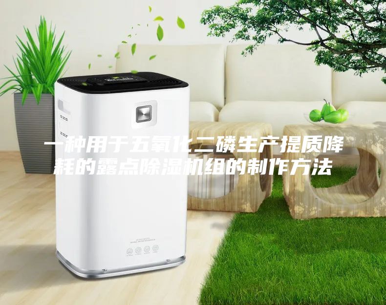 一种用于五氧化二磷生产提质降耗的露点除湿机组的制作方法
