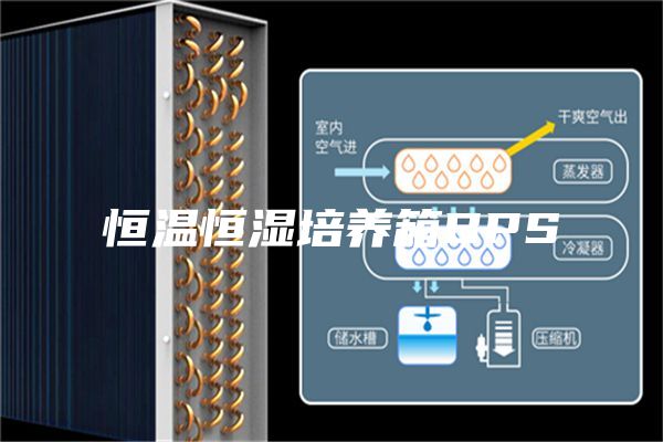 恒温恒湿培养箱BPS