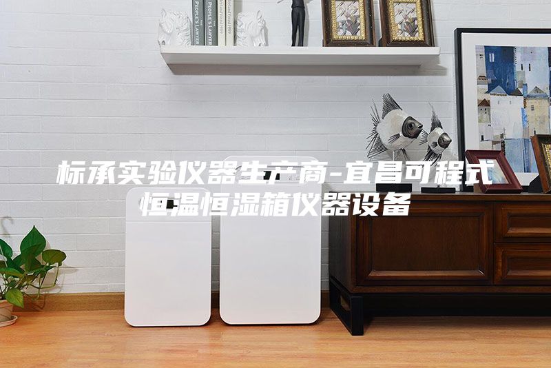 标承实验仪器生产商-宜昌可程式恒温恒湿箱仪器设备