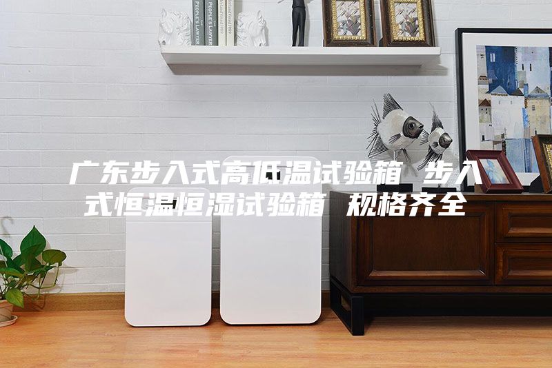 广东步入式高低温试验箱 步入式恒温恒湿试验箱 规格齐全