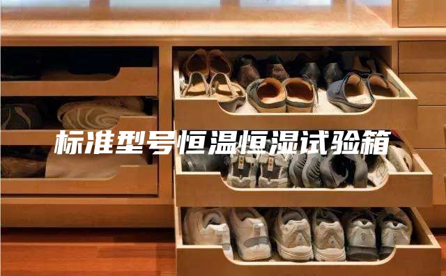 标准型号恒温恒湿试验箱