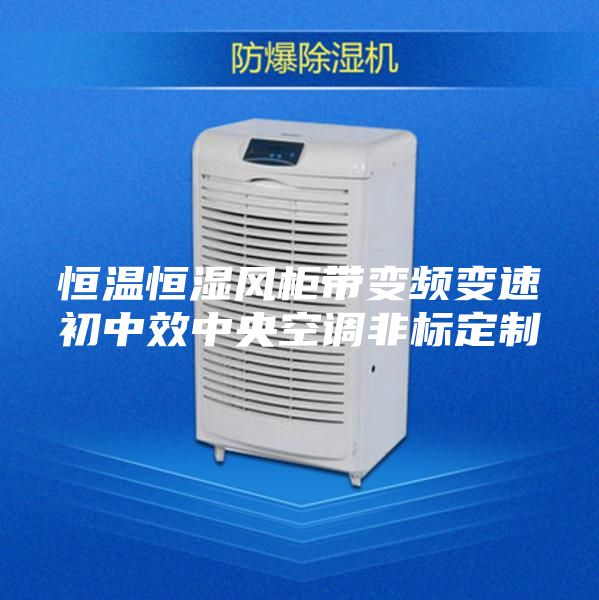 恒温恒湿风柜带变频变速初中效中央空调非标定制