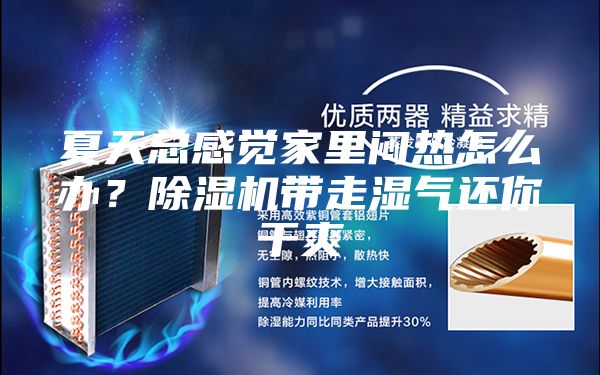 夏天总感觉家里闷热怎么办？除湿机带走湿气还你干爽