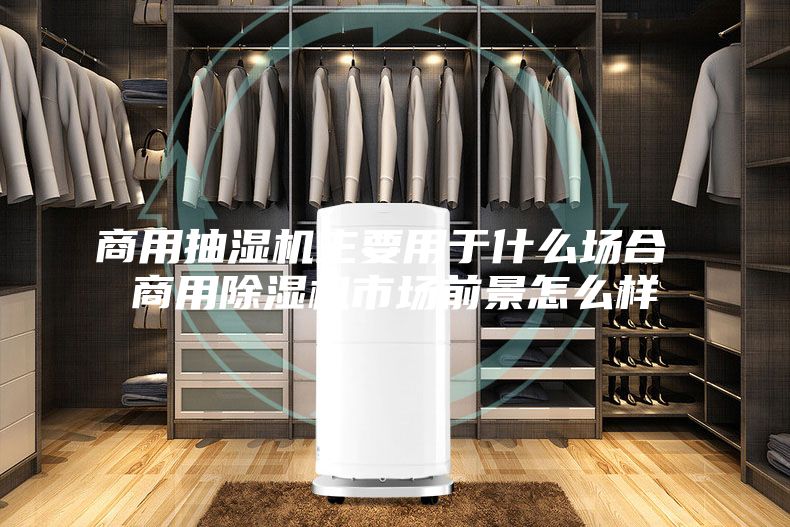 商用抽湿机主要用于什么场合 商用除湿机市场前景怎么样