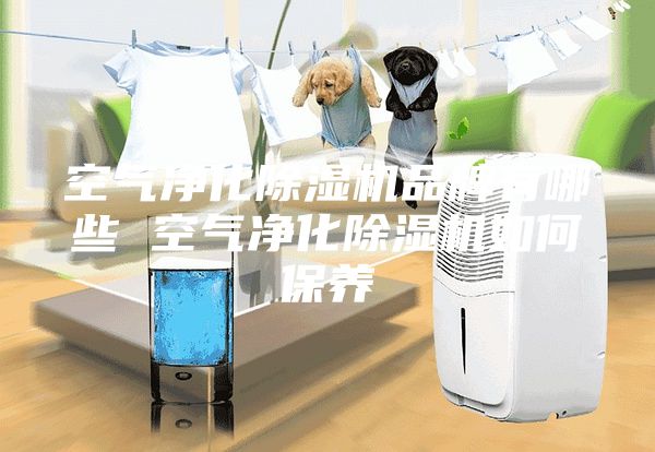 空气净化除湿机品牌有哪些 空气净化除湿机如何保养