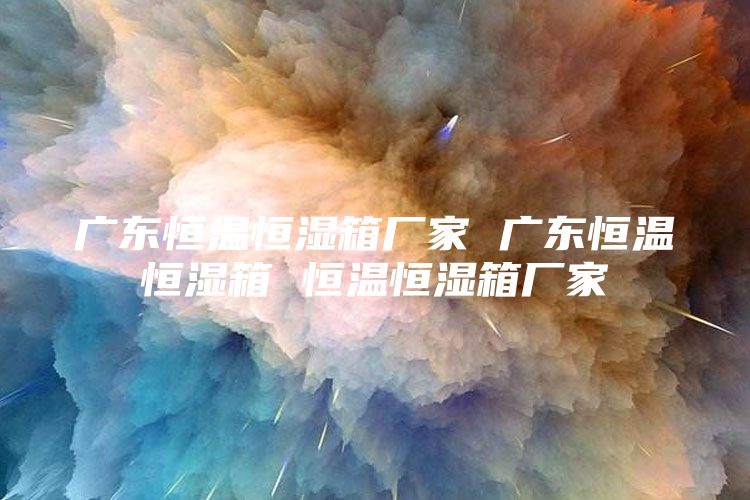 广东恒温恒湿箱厂家 广东恒温恒湿箱 恒温恒湿箱厂家