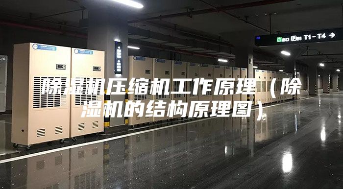 除湿机压缩机工作原理（除湿机的结构原理图）