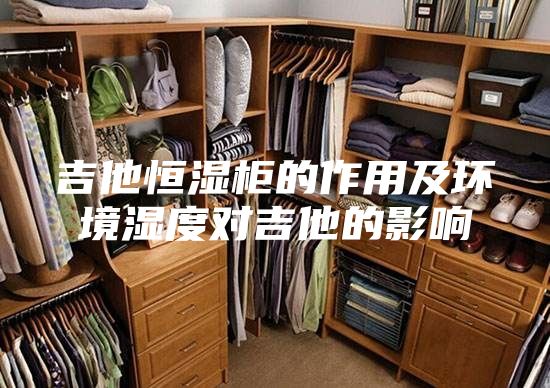 吉他恒湿柜的作用及环境湿度对吉他的影响