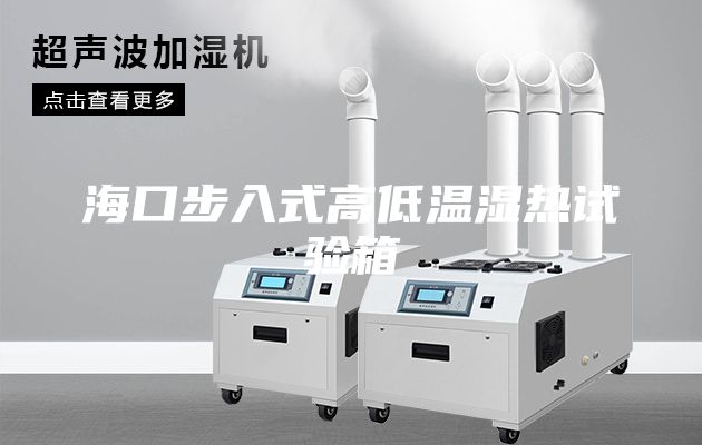 海口步入式高低温湿热试验箱
